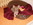 chiot chihuahua animalerie nice bull et bill