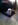 Bichon animalerie Nice