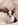 chihuahua miniature animalerie bull et bill