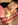 chihuahua miniature nice Bull et Bill