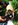 bulldog anglais nice animalerie Bull et Bill