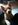 chiot shiba inu à vendre animalerie Bull et Bill Nice