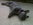 chiot animalerie Bull et Bill Bouledogue