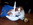 Cavalier King Charles Nice Bull et Bill