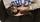chiot spitz nain animalerie Bull et Bill