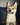 chiot shiba inu nice Bull et Bill