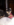spitz nain animalerie Bull et Bill