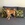 shiba inu nice Bull et Bill